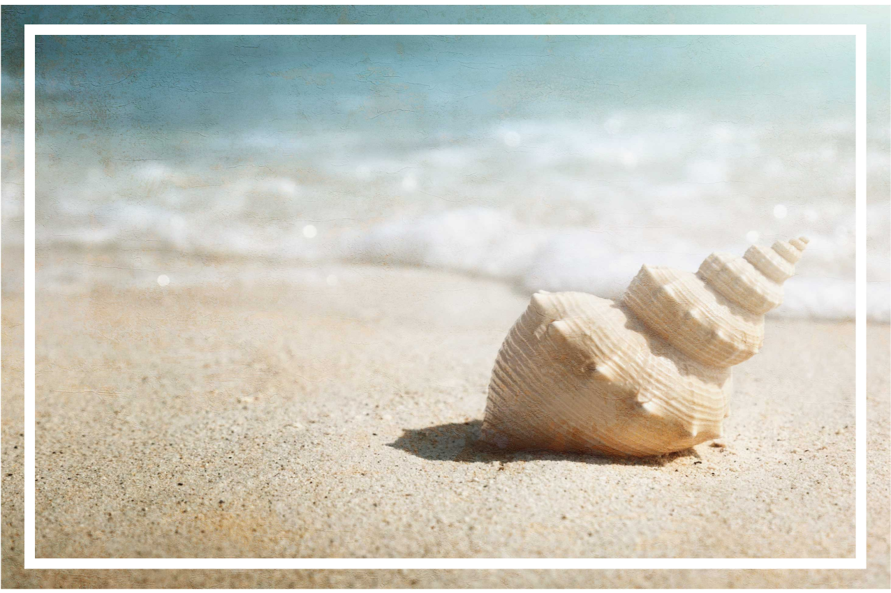 Tischset modern Muschel auf dem sand - TenStickers