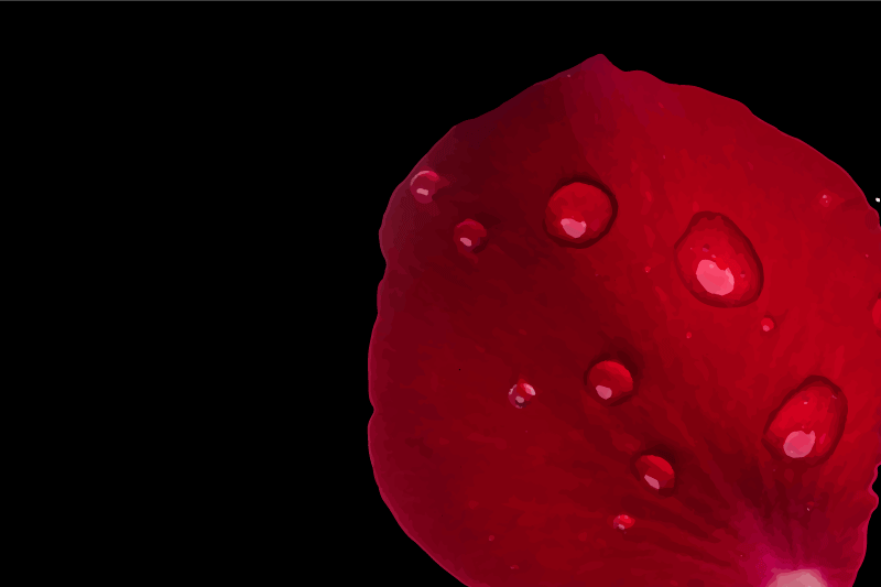 Tischset mit roter blütenoberfläche - TenStickers