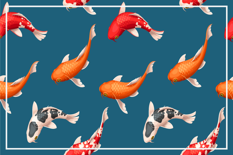 Tischsets originell mit buntem koi-fisch-muster - TenStickers