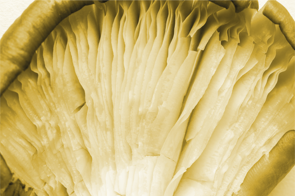 Tischset mit geschwungenen blatterschichten - TenStickers