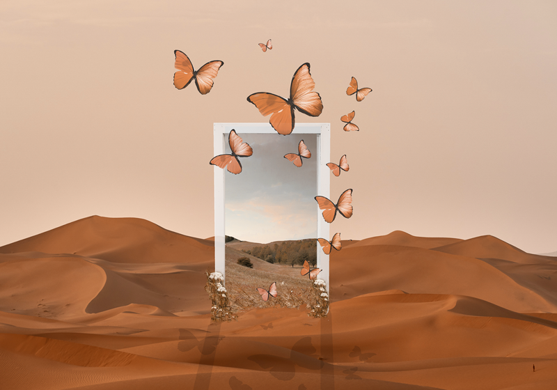 Tischsets originell schmetterlinge im entfaltungsrahmen - TenStickers