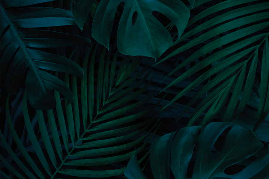 Tischset mit tropischem blätterdesign - TenStickers