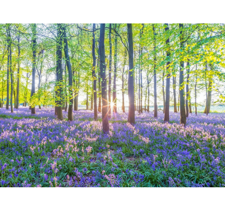 Tapete wald im modernen naturstil - TenStickers