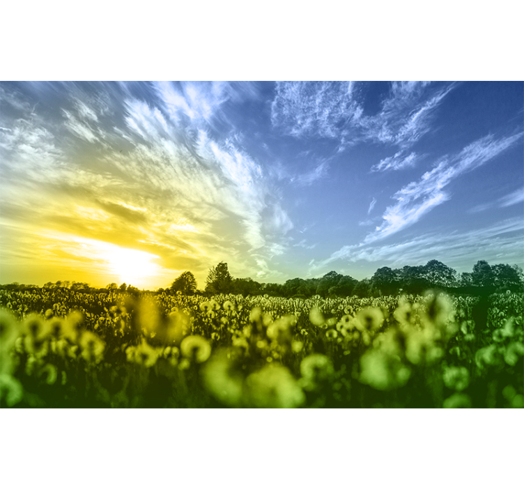 Fototapete Blumen sonnenuntergang blumenfeld - TenStickers