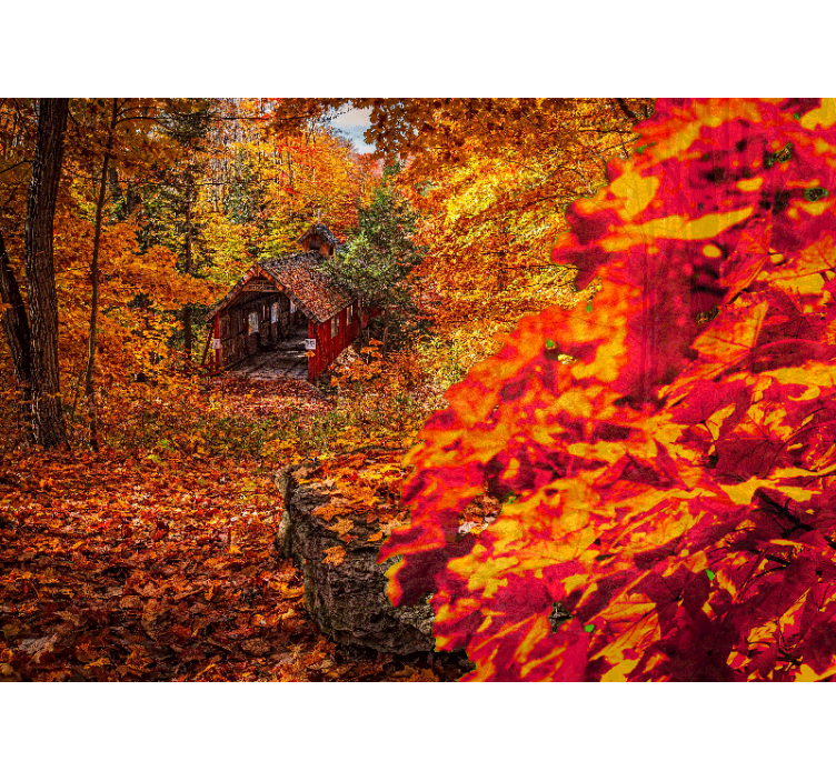Fototapete landschaften herbst cottage landschaft - TenStickers