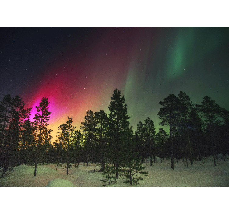 Fototapete Natur aurora borealis-anzeige - TenStickers