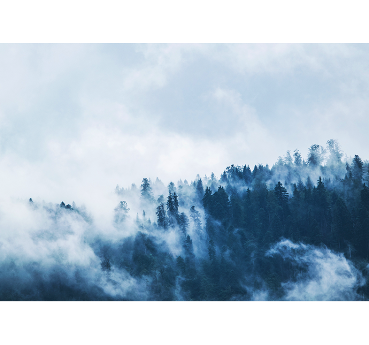 Fototapete natur neblige waldlandschaft - TenStickers