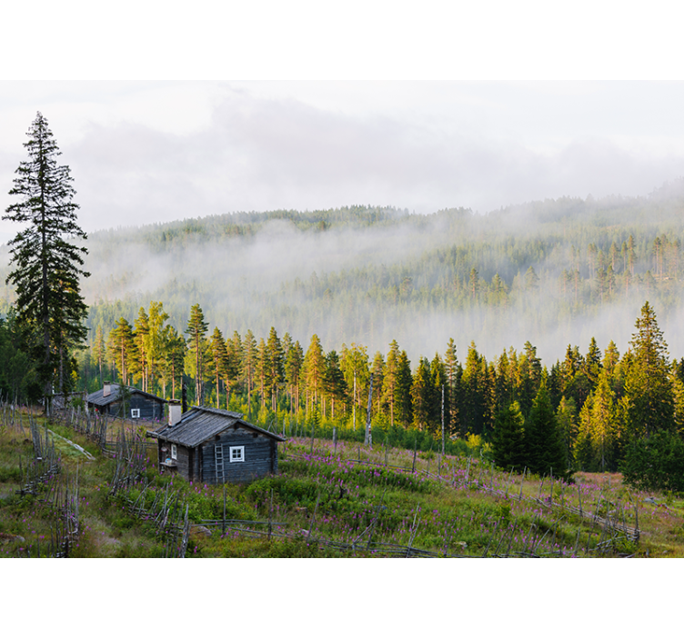 Fototapete Landschaften nebelbedeckter wald - TenStickers