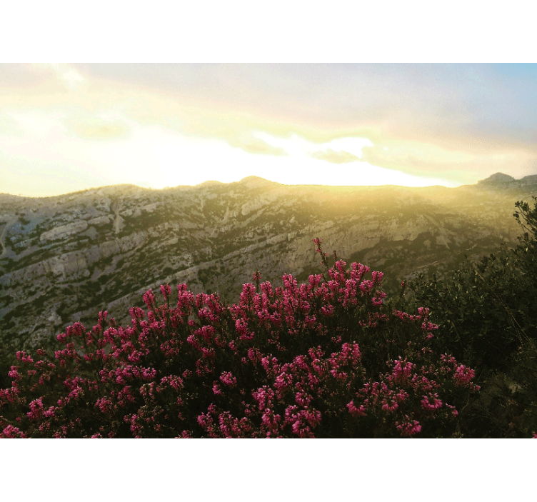 Fototapete natur blühende pinke flora - TenStickers