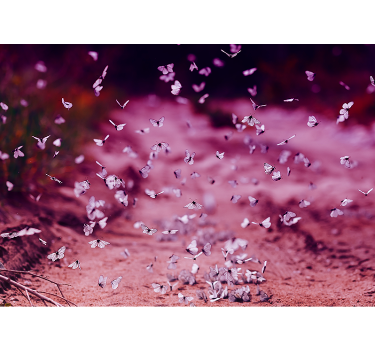 Fototapete Blumen zarter schmetterlingstanz - TenStickers