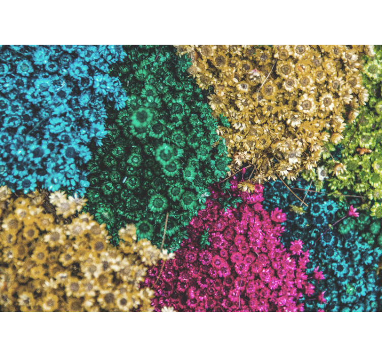 Fototapete blumen bunte blumenmuster - TenStickers