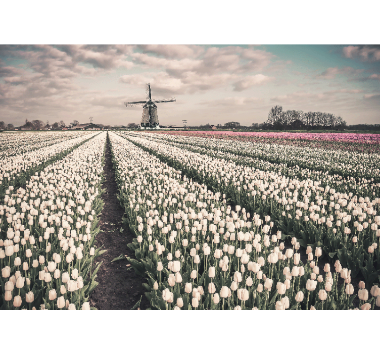 Fototapete blumen tulpenfeld landschaft - TenStickers
