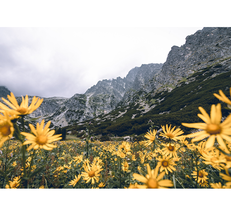 Fototapete blumen wiese mit gelben blumen - TenStickers