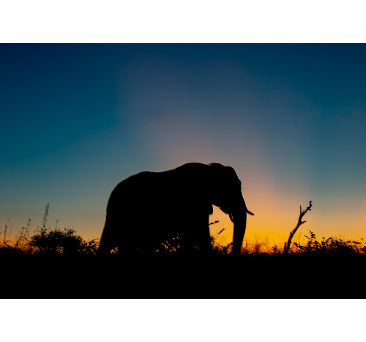 Fototapete tiere elefanten-silhouette sonnenuntergang - TenStickers