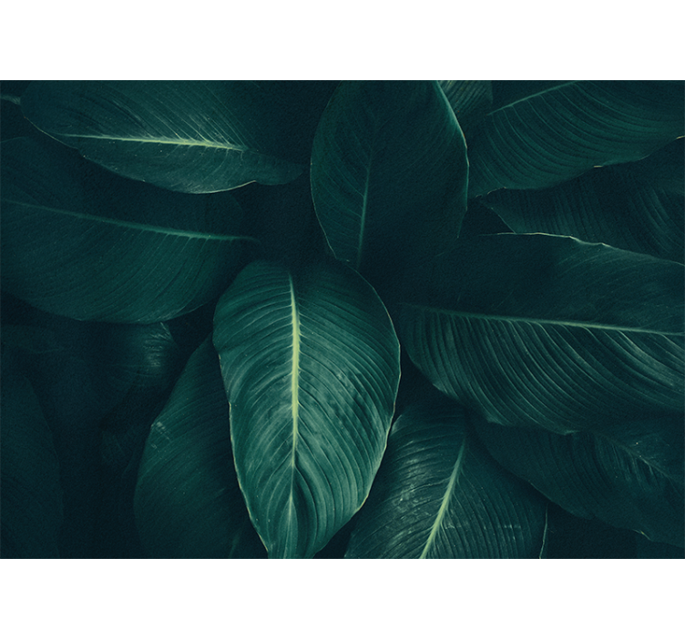 Fototapete natur üppige blatttextur - TenStickers