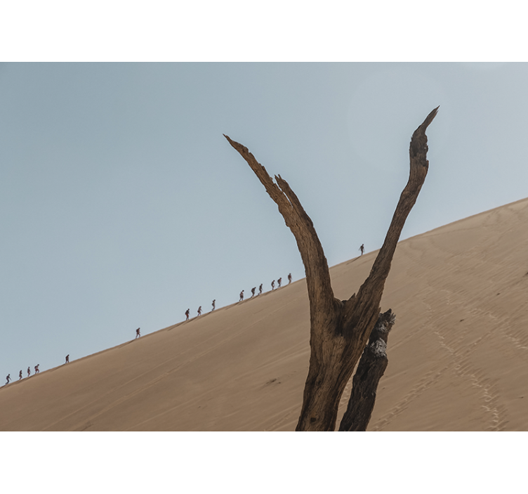 Fototapete Wüste dünenwanderer silhouette - TenStickers