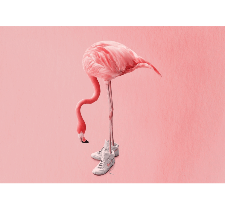 Fototapeten tiere flamingo in sneakers - TenStickers