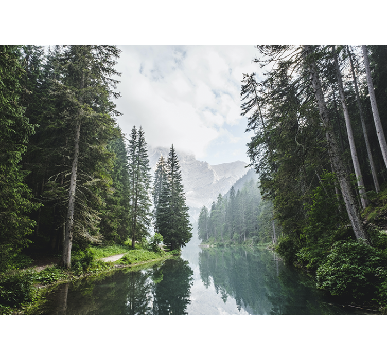 Fototapete landschaften ruhiger waldklang - TenStickers