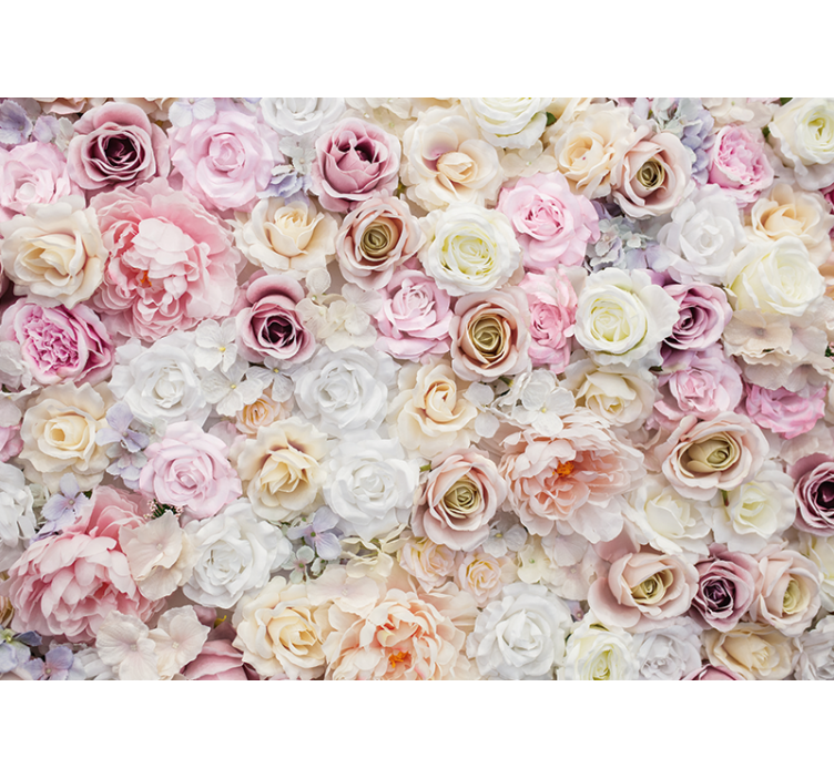 Fototapete blumen rose-blüten kollektion - TenStickers