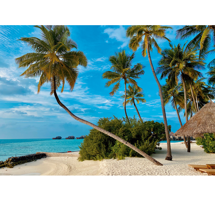 Fototapete natur tropische palmenlandschaft - TenStickers