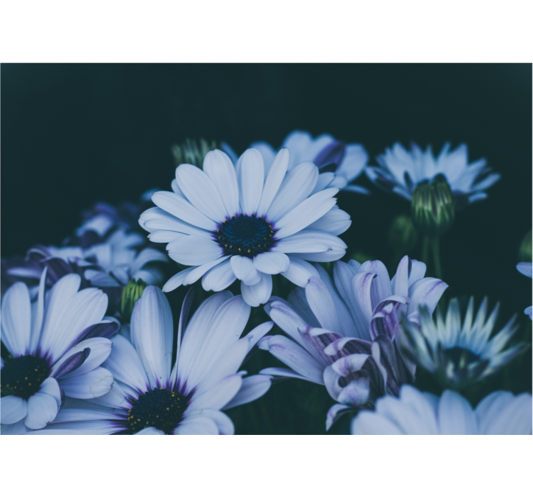 Fototapete blumen ruhiges blumenarrangement - TenStickers