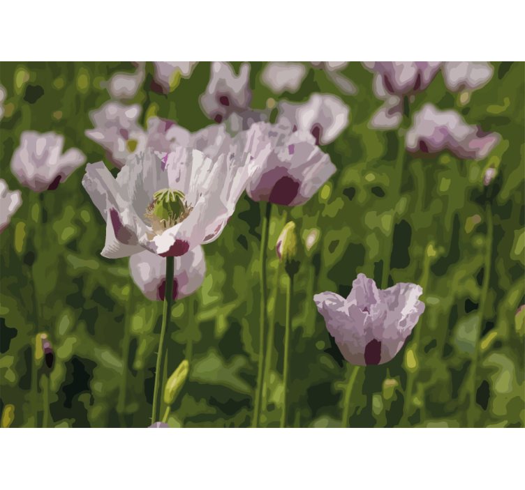 Fototapete mohnblumen florale eleganz - TenStickers