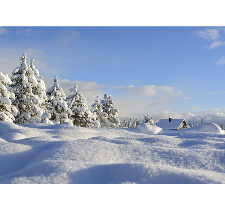 Fototapete landschaften winter schneelandschaft - TenStickers