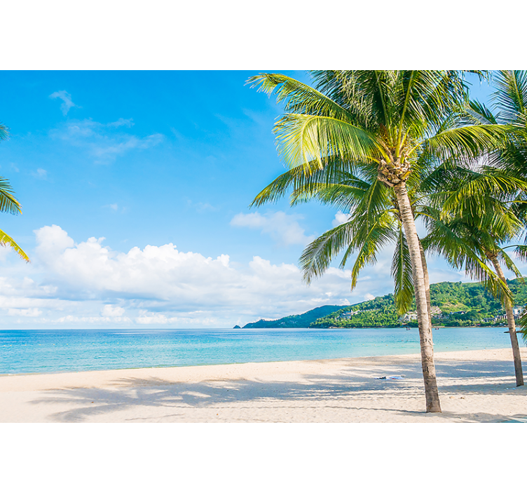 Fototapete natur tropisches küstenparadies - TenStickers