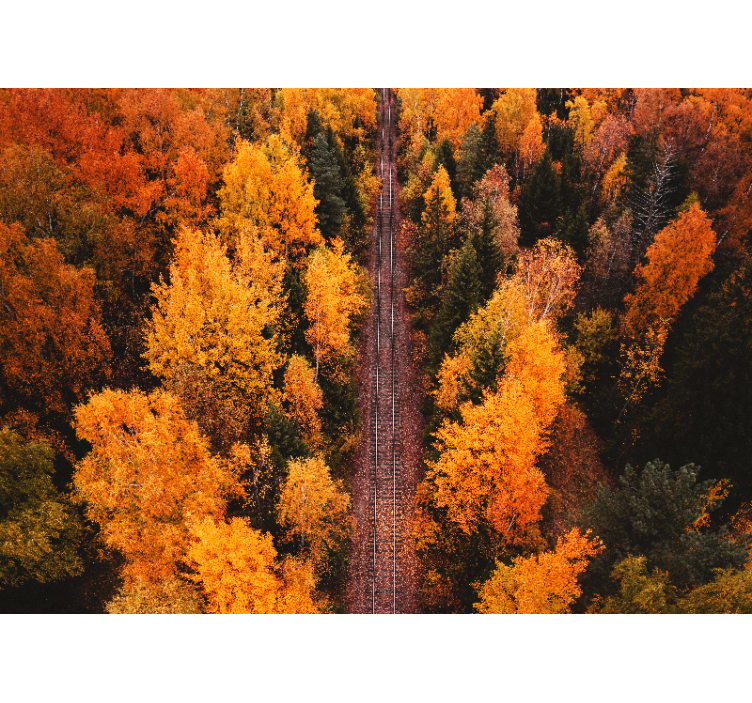 Fototapete landschaften herbstwaldweg - TenStickers