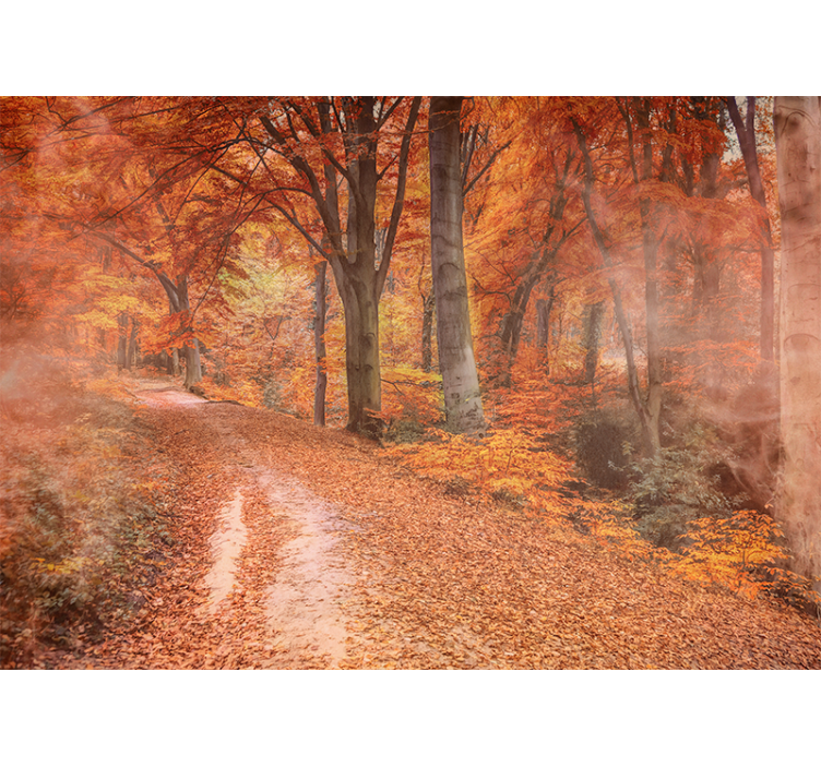 Fototapete natur herbstweg - TenStickers