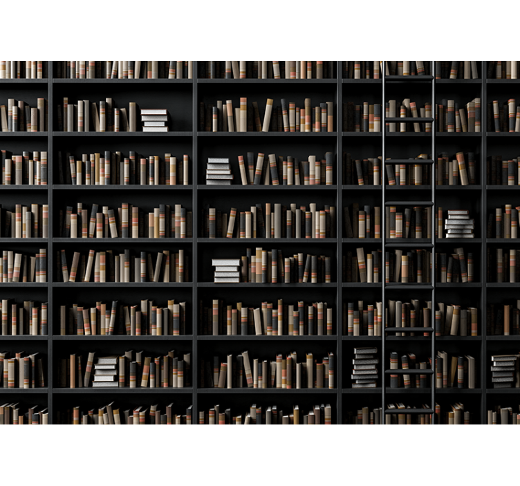 Fototapete stein bibliotheksbuchsortiment - TenStickers