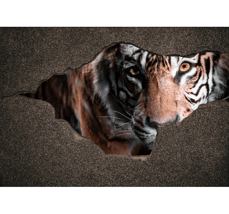 Fototapeten tiere tiger nahaufnahme - TenStickers