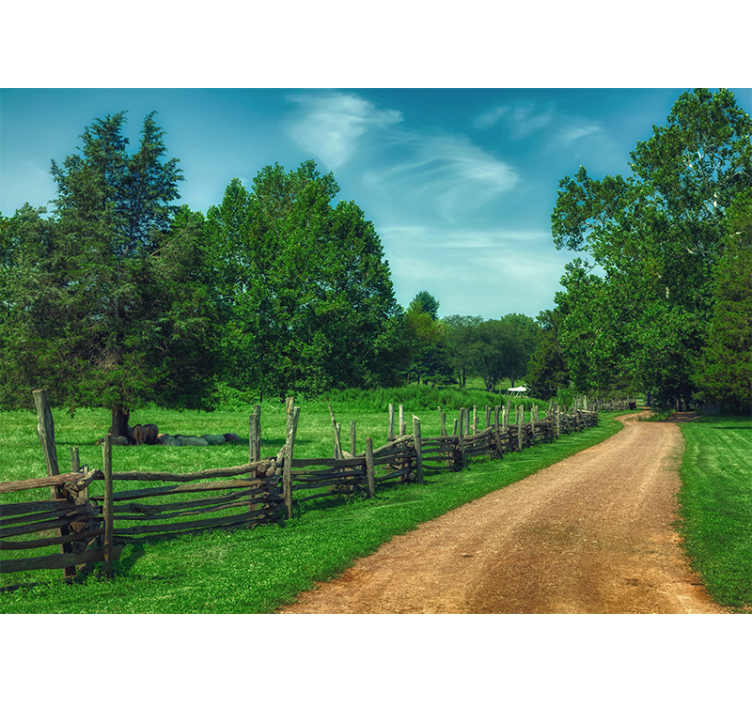 Fototapete landschaften grüner weg voller leben - TenStickers