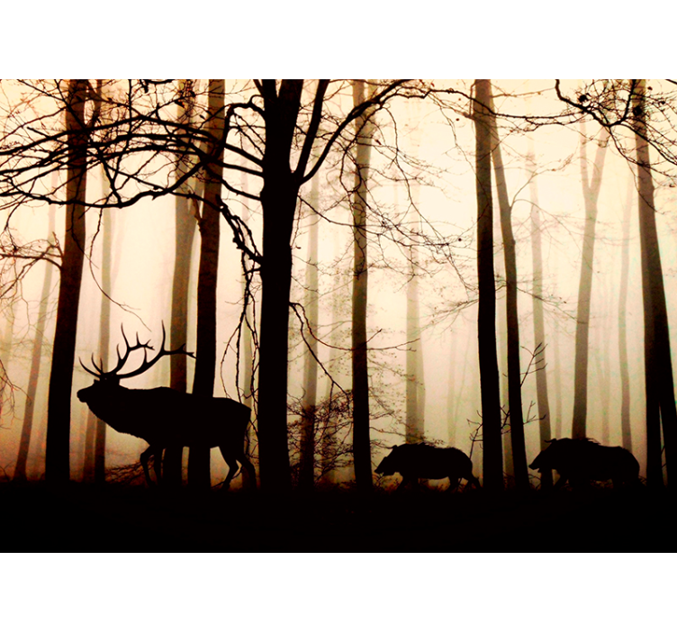 Fototapete Natur silhouette der waldfauna - TenStickers