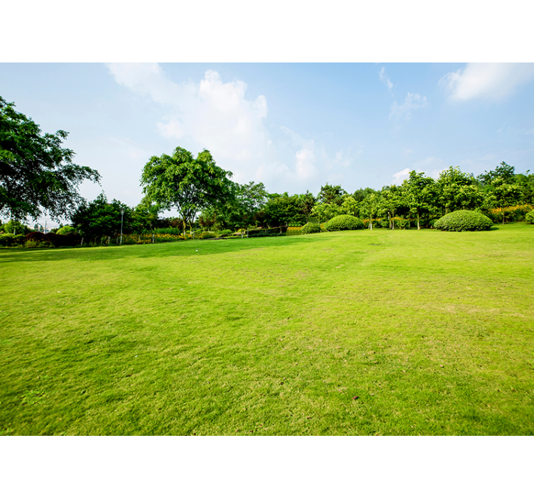 Fototapete Natur grünes wiesenpanorama - TenStickers