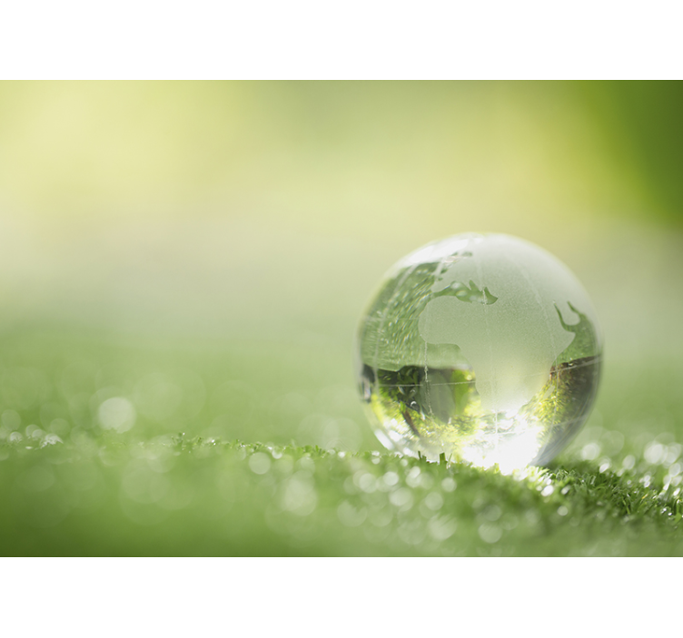 Fototapete natur globus auf gras - TenStickers