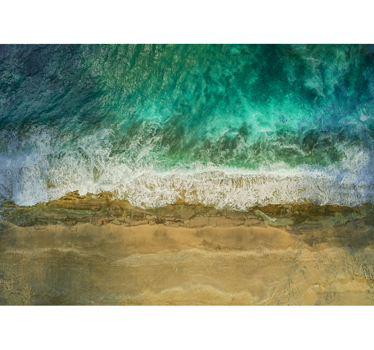 Fototapete Natur küstenpflanzenanordnung - TenStickers