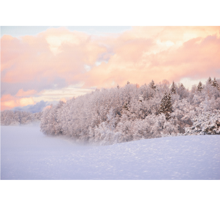 Fototapete natur schneewald landschaft - TenStickers