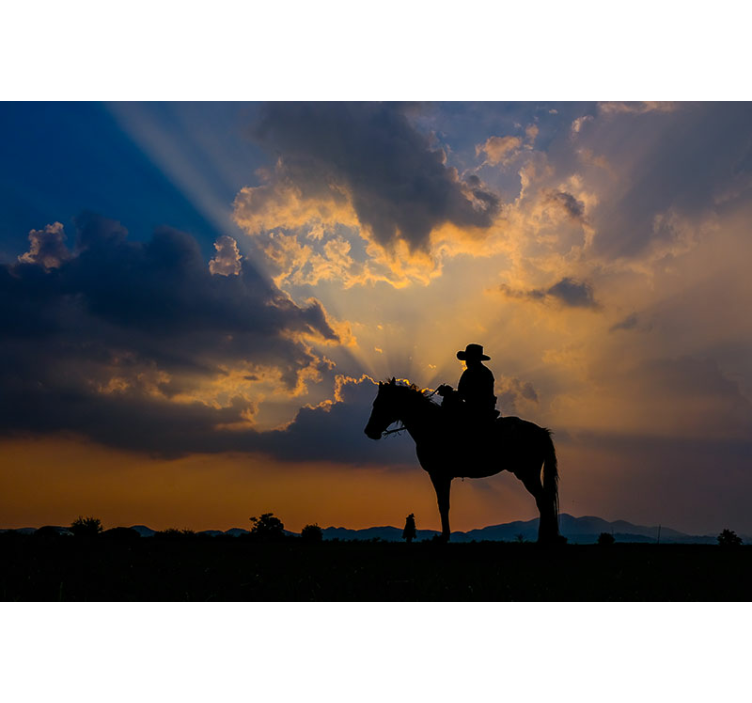 Fototapete tiere reiter auf ross - TenStickers