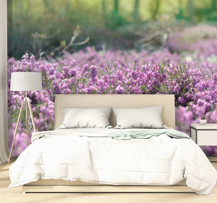 Fototapete Blumen blühende heide - TenStickers