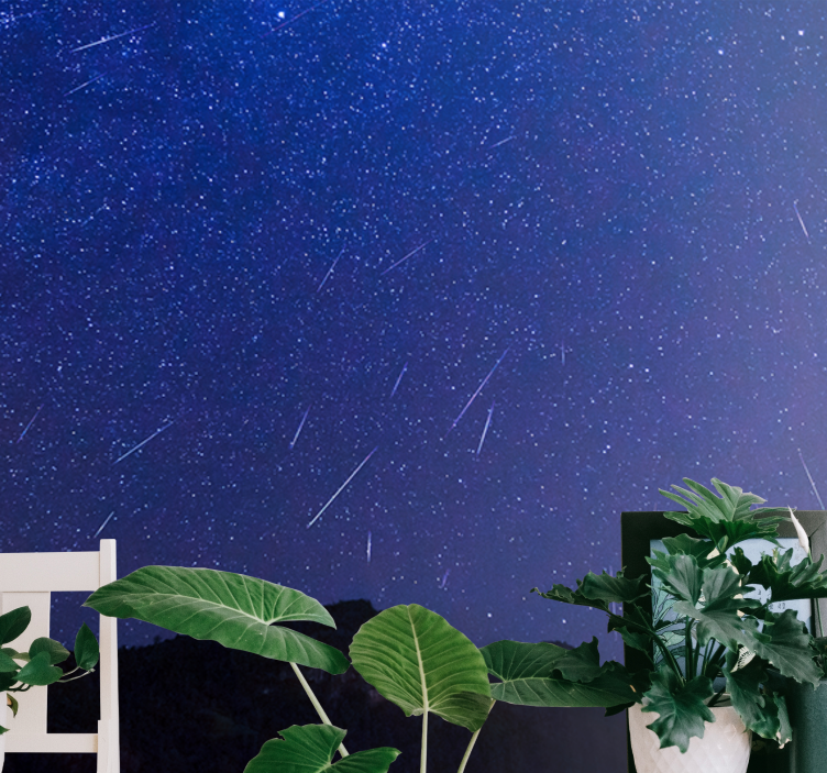 Fototapete berge himmlische kometen nacht - TenStickers