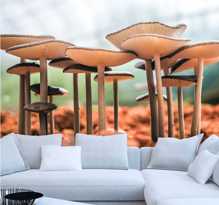 Weitere Fototapeten pilz-cluster-szene - TenStickers