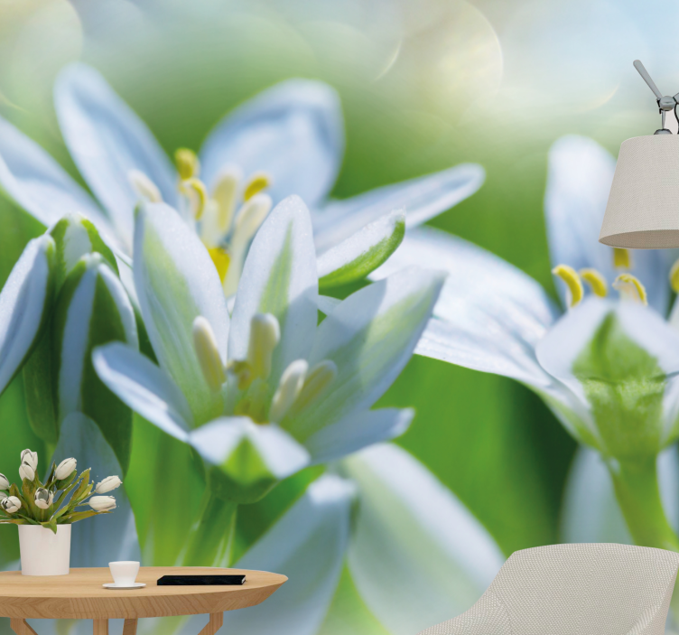Fototapete blumen sanfte weiße blüten - TenStickers