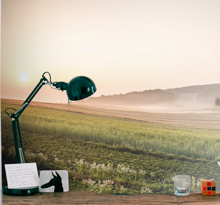 Fototapete landschaften ruhige grüne wiesen - TenStickers