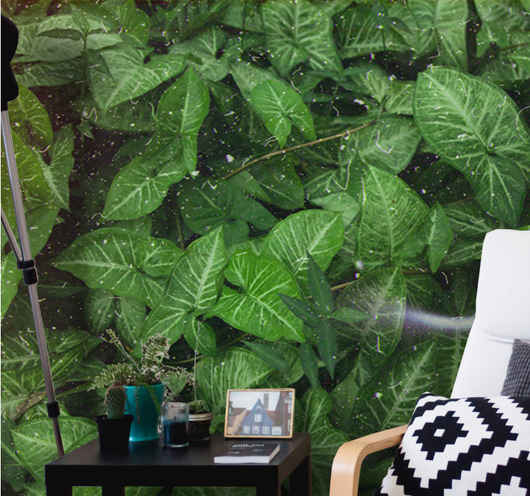 Fototapete natur lebendige blattkomposition - TenStickers