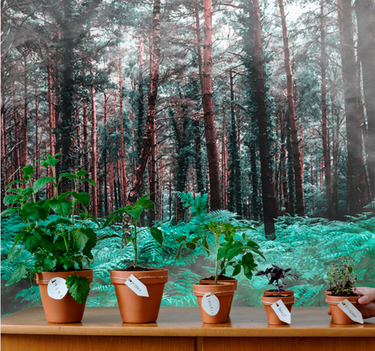 Fototapete natur üppige grüne wildnis - TenStickers