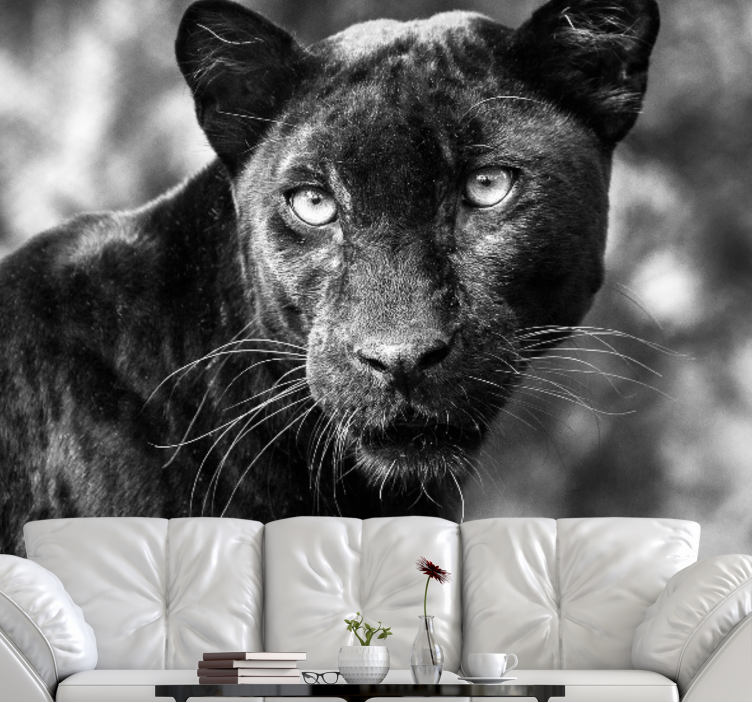Fototapete tiere black panther gesicht - TenStickers