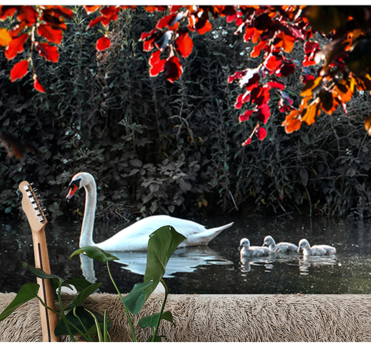 Fototapete tiere elegante schwanenfamilie - TenStickers