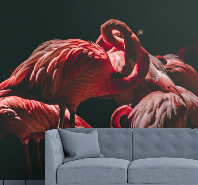 Fototapete tiere flamingo gelassenheit - TenStickers