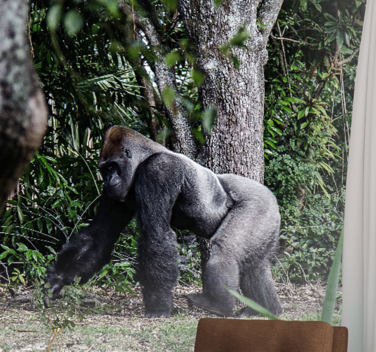 Fototapete tiere majestätischer gorilla spaziergang - TenStickers